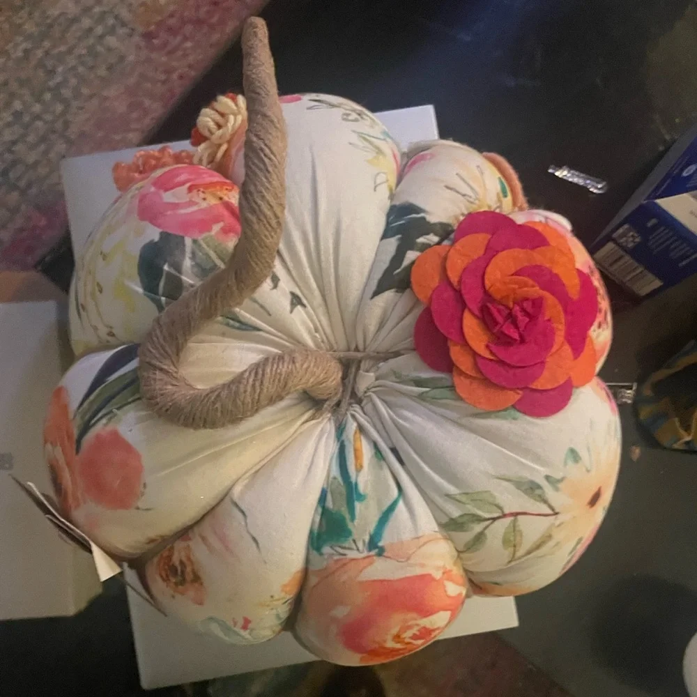 Really cute fabric pumpkin decor pillow accent - Picture 3 of 5